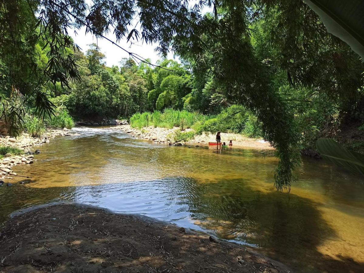 Ecoisa De Chacara - Casa De Vidro, Casa De Campo Morretes Exteriör bild