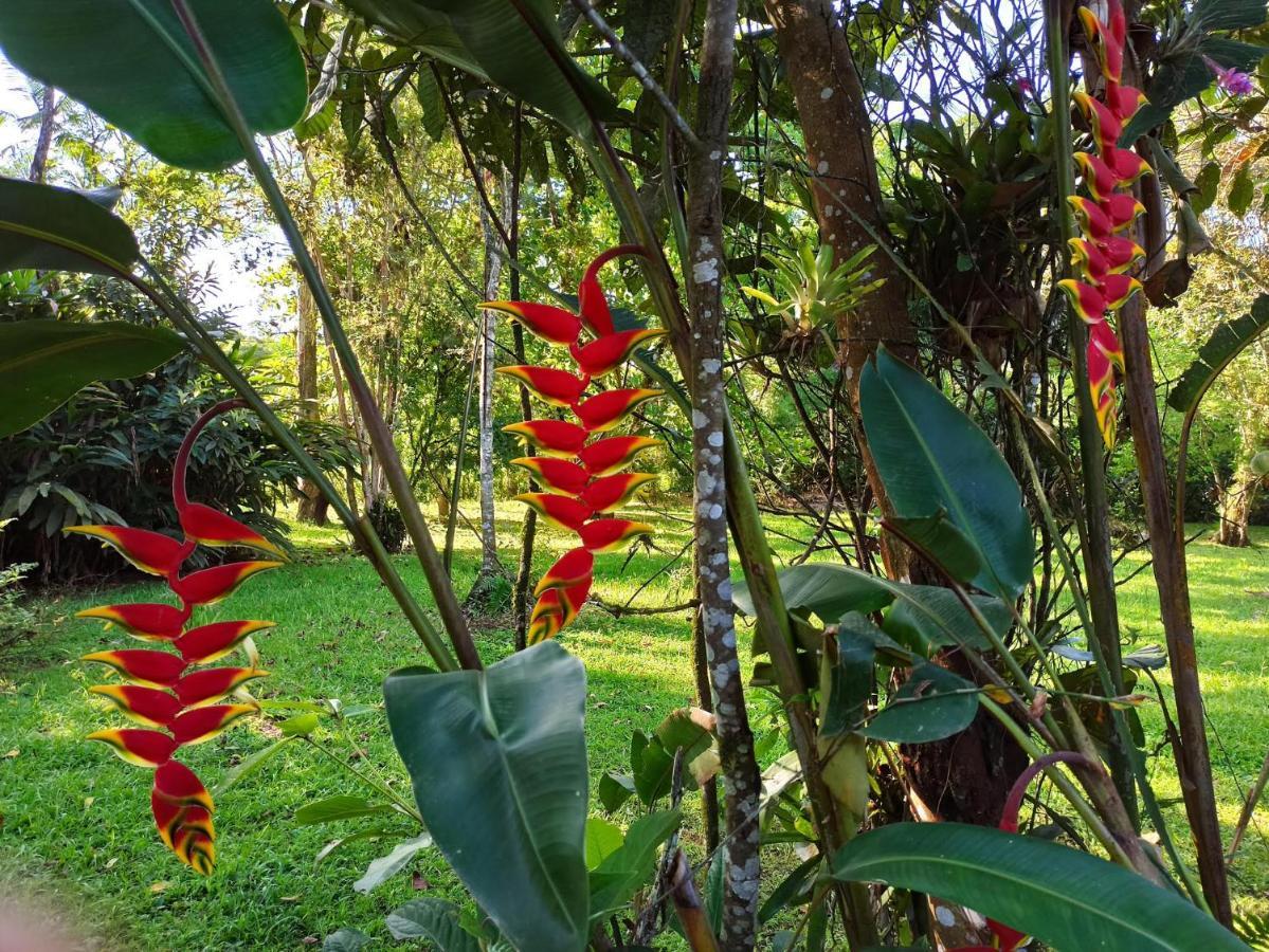 Ecoisa De Chacara - Casa De Vidro, Casa De Campo Morretes Exteriör bild
