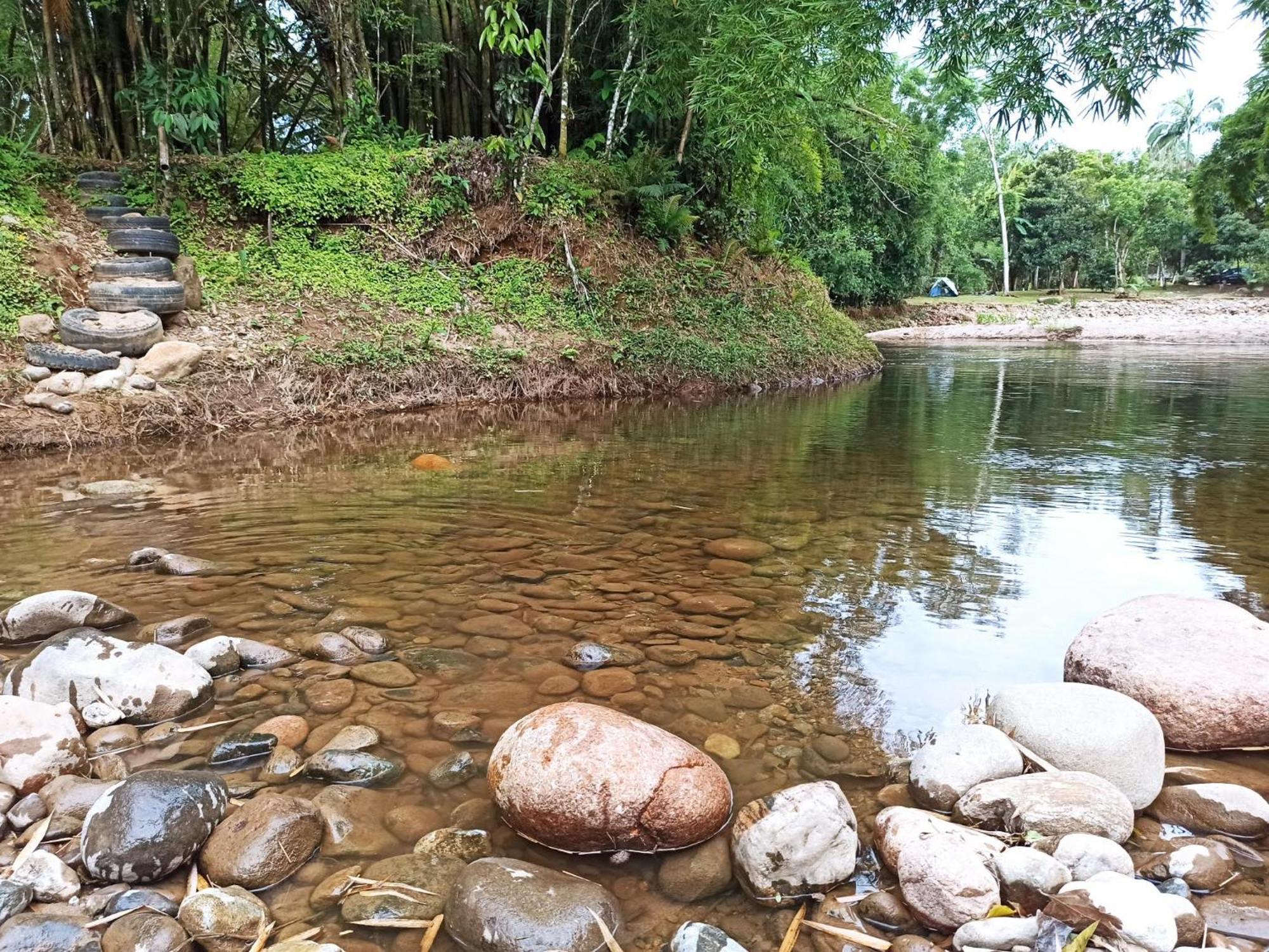 Ecoisa De Chacara - Casa De Vidro, Casa De Campo Morretes Exteriör bild