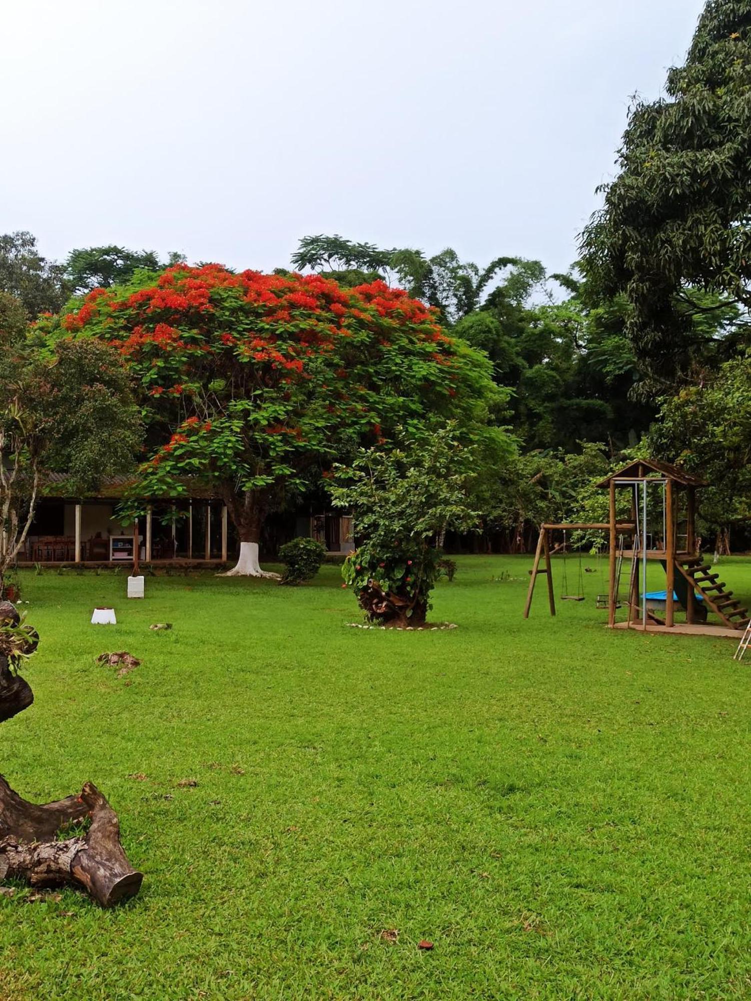 Ecoisa De Chacara - Casa De Vidro, Casa De Campo Morretes Exteriör bild